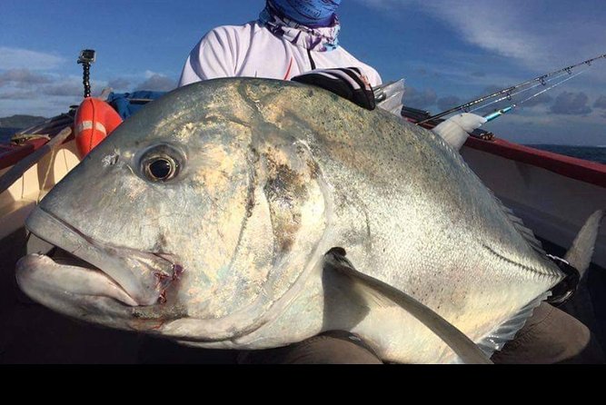 Fishing Trips. Popping, jigging, big game, live bait - Quick points before you book
