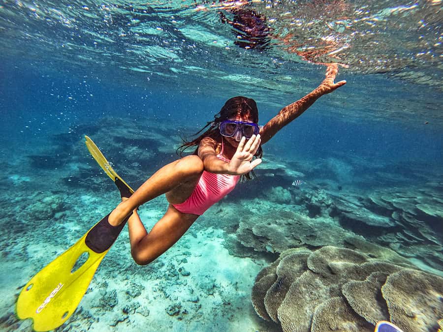 From Blue Bay: Ile aux Cerfs Speedboat Excursion with BBQ - Starting at Blue Bay at 9:30am