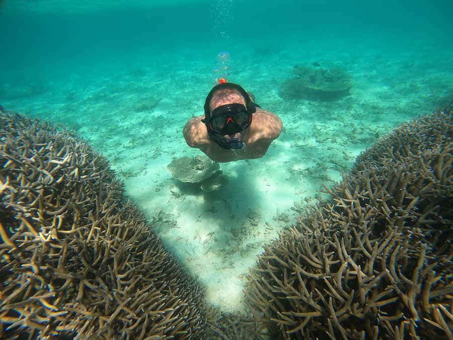 From Blue Bay: Ile aux Cerfs Speedboat Excursion with BBQ - Along Point d’Esny toward Mahebourg