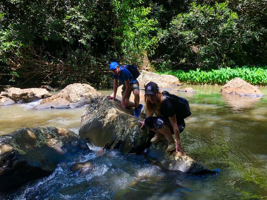 From Chamarel: Waterfall Eco-Hike Adventure - The real appeal: reaching Chamarel Falls from below
