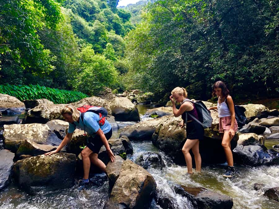 From Chamarel: Waterfall Eco-Hike Adventure - Four crossings and a slippery descent