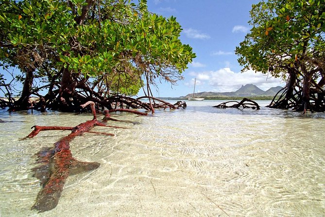 Full-Day At Ile Aux Cerf: Speed Boat, GRSE, Lunch On A Private Island & Transfer - Speedboat Views Across the Lagoon