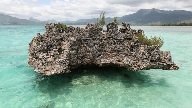 Full Day Catamaran Cruise on shared basis to Bénitiers Island - Key points to know before booking