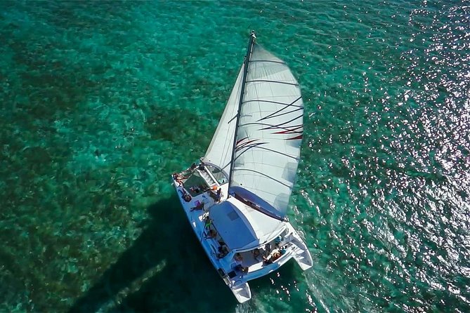Full-Day Catamaran Cruise to Île aux Cerfs with BBQ Lunch - The lagoon snorkeling stop