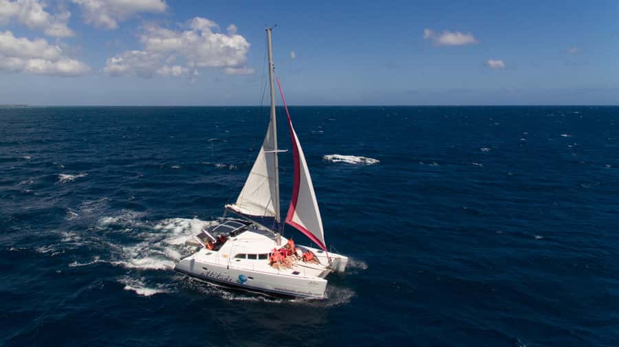 Full Day Catamaran Luxury Cruise to Northern Islands w Lunch - BBQ lunch, drinks, and a break from the water
