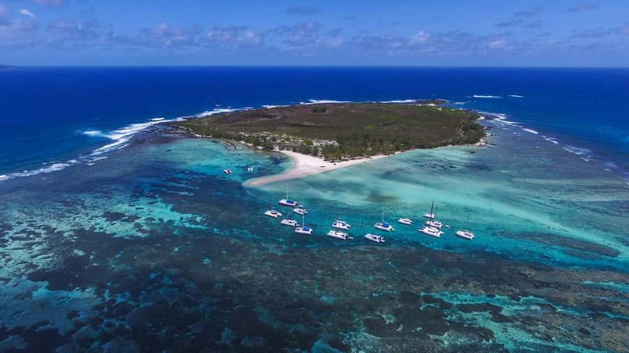 Full Day Catamaran Luxury Cruise to Northern Islands w Lunch - Who will enjoy this catamaran day?