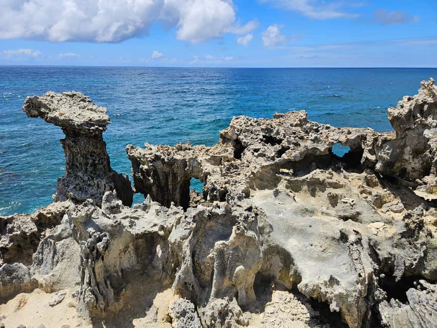 FULL-DAY CATASPEED - East Lagoon cruise including transfer. - Snorkeling at the Aquarium