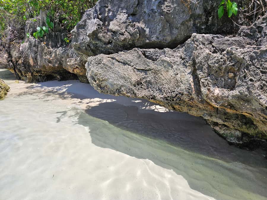 FULL-DAY CATASPEED - East Lagoon cruise including transfer. - Grand River South East Waterfall and its wild visitors