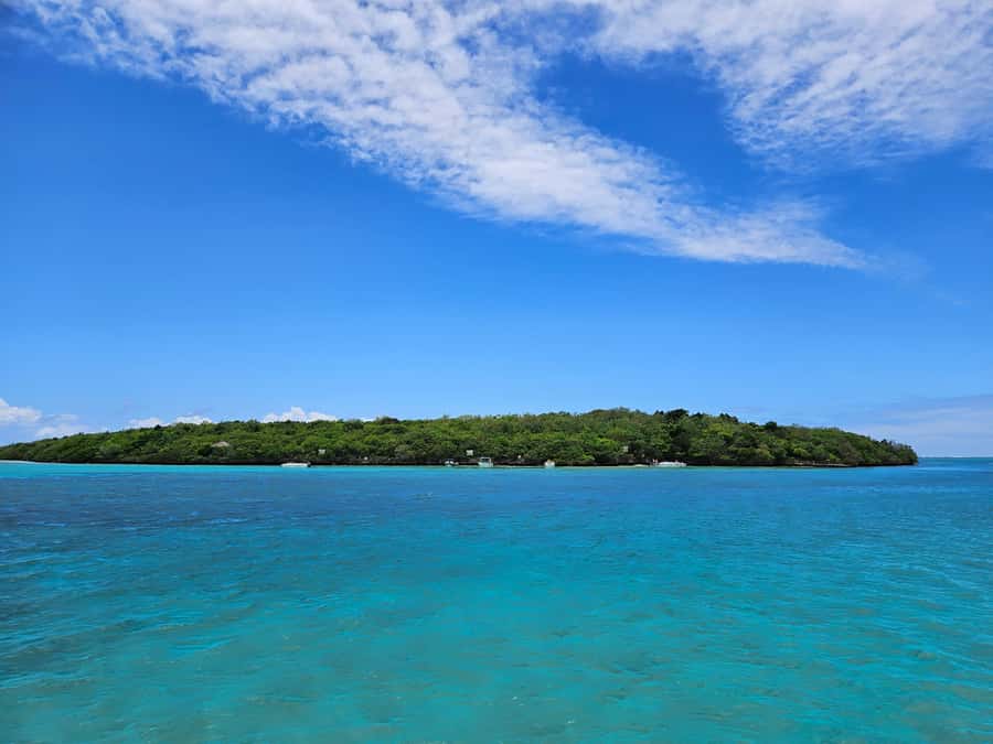 FULL-DAY CATASPEED - East Lagoon cruise including transfer. - BBQ lunch on Ile Aux Margenie