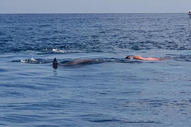 Full-Day Dolphin Watching Cruise in Mauritius - Bénitiers Island and a proper barbecue lunch
