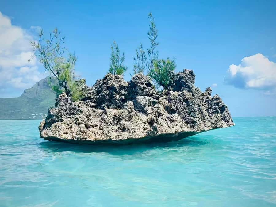 Full Day Dolphins Watching Ile aux Benitiers & Crystal Rock - The morning run from La Preneuse to Tamarin Bay