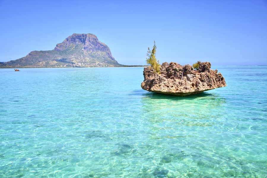 Full Day Dolphins Watching Ile aux Benitiers & Crystal Rock - The speedboat experience and group-size question