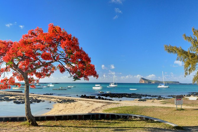 Full Day North Private Guided Tour Mauritius: including lunch - Port Louis: a fast introduction to the capital