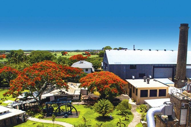Full-Day North Tour of Mauritius, ALL INCLUSIVE Day Trip, Private SUV Car, Guide - Le Fangourin turns lunch into part of the sightseeing