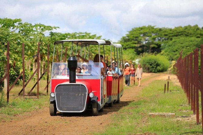 Full-Day North Tour of Mauritius, ALL INCLUSIVE Day Trip, Private SUV Car, Guide - Mont Choisy offers a quick look at the coast