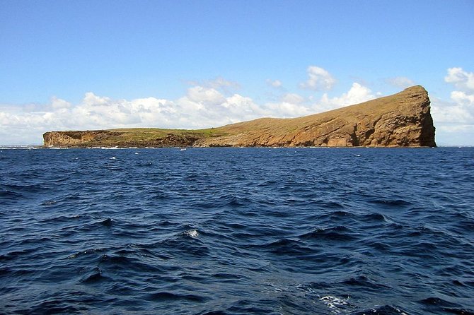 Full-Day Northern Catamaran Cruise: Coin de Mire and Ile Plate Island - Île Plate, barbecue lunch, and time ashore