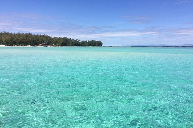 Full-Day Northern Catamaran Cruise: Coin de Mire and Ile Plate Island - Swimming and snorkeling in the northern lagoon