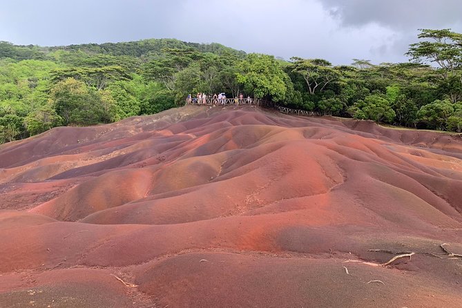 Full Day Private custom Tour with Drive-Guide in Mauritius - What the strongest feedback tells me