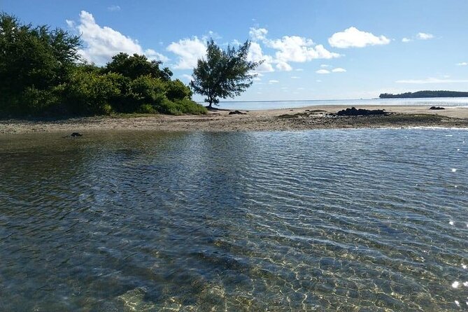 Full-Day Private Hiking le Morne Mountain & Seafood Lunch at Islet Fourneau - What lunch includes at Islet Fourneau