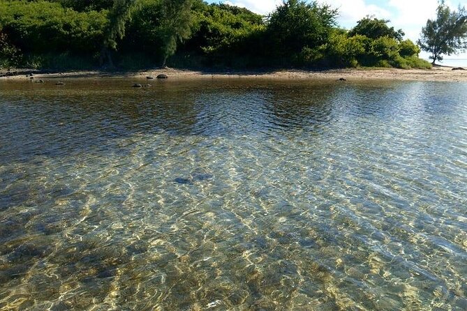 Full-Day Private Hiking le Morne Mountain & Seafood Lunch at Islet Fourneau - Why the history gives the hike meaning