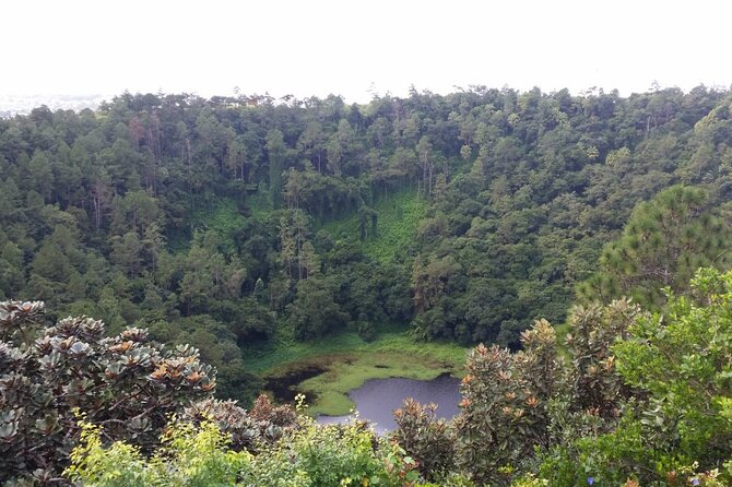 Full Day Private Tour in South of Mauritius - A big southern loop in a private car