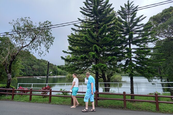 Full Day Private Tour in South of Mauritius - Timing, comfort, and the real value