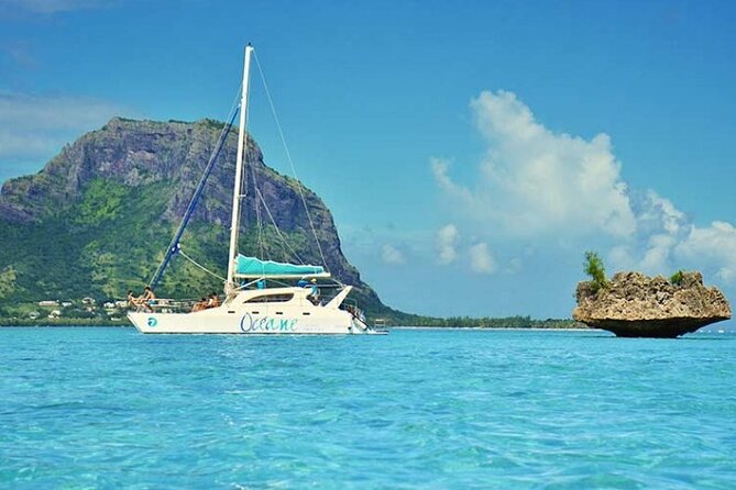 Full day Shared Speedboat Tour - South West Lagoon Dolphin Swim - Lunch and beach time on Ile aux Benitiers