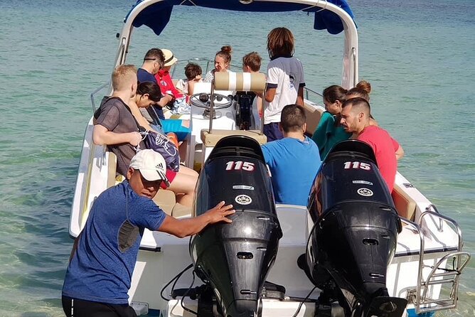 Full-Day Swimming with Dolphins and Casela Nature Park Tour in Mauritius - Why the shared transport helps