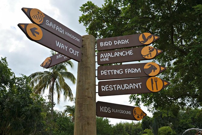 Full-Day Swimming with Dolphins and Casela Nature Park Tour in Mauritius - Who should book this experience