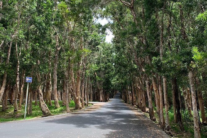 Full-Day Tour of South West Mauritius - Rhumerie de Chamarel is more than a tasting