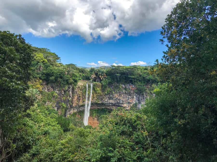 Full day tour personal chauffeur - Botanical Gardens and the value of flexible assistance