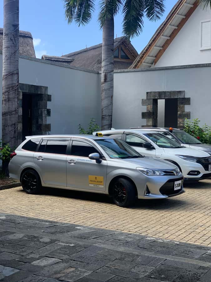 Full day tour personal chauffeur - Markets, shops, and Mauritian food advice