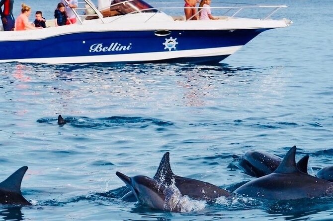 Fully Day Tour: Dolphin Encounters, Crystal Rock at Benitiers Island - A seven-hour day built around Mauritius dolphins