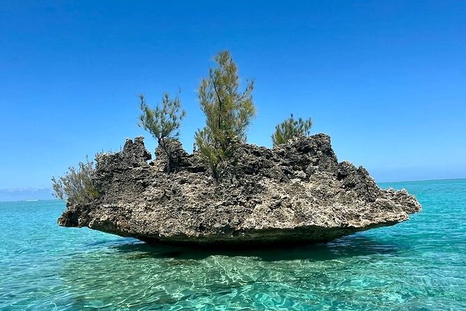 Fully Day Tour: Dolphin Encounters, Crystal Rock at Benitiers Island - Who will get the most from this day