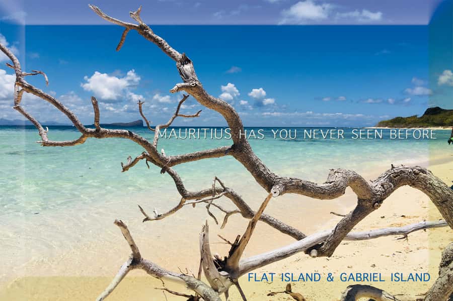 Grand Baie: Catamaran 3 Islands Cruise & Lunch on the Island - The return trip turns social