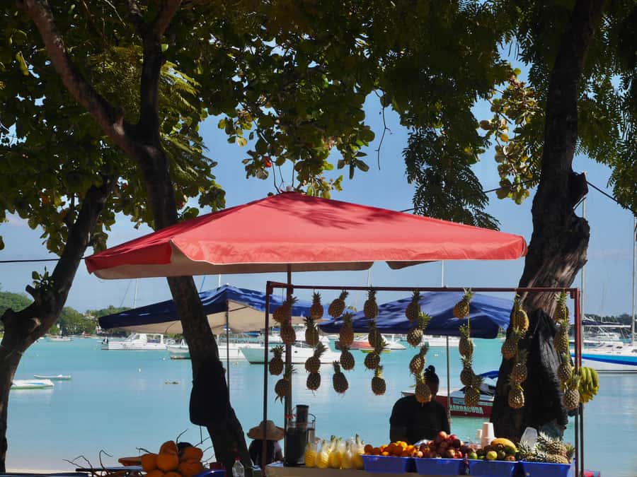 Grand Baie: Coastal Cuisine & Culture Walking Tour - Meeting Adrian near Happy Rajah