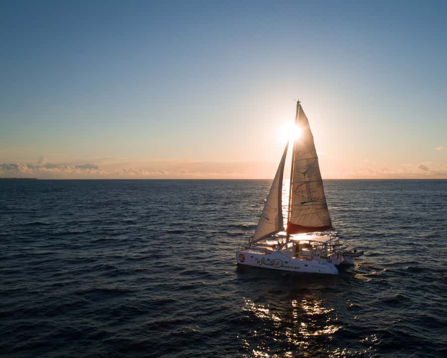 Grand Baie: Cocktail & Sunset Catamaran Cruise - Why this two-hour sail works so well at sunset