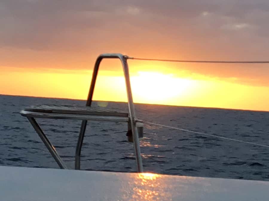Grand Baie: Private 4-Hour Premium Sunset and Dinner Cruise - Drinks, tropical snacks, and time to relax