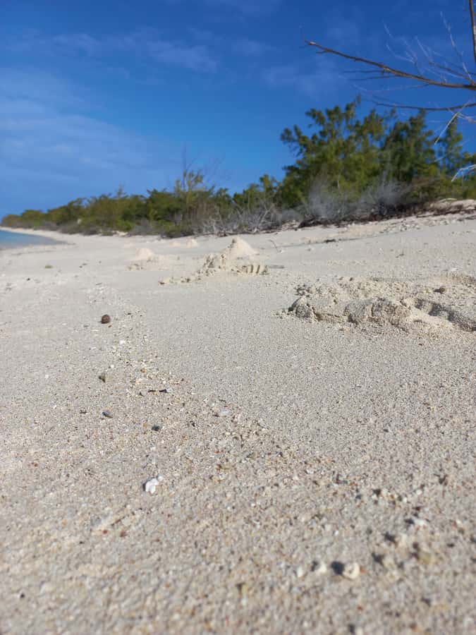 Grand Baie: Three Islands Private Boat Trip and Beach BBQ - What the crew adds to the experience