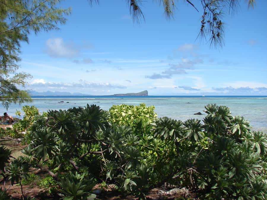 Grand Baie: Three Islands Private Boat Trip and Beach BBQ - A beach lunch that makes the day feel complete