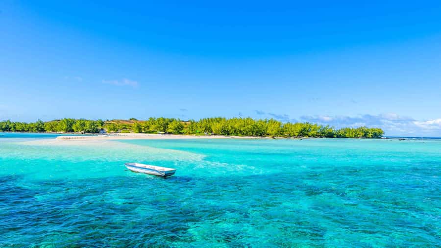 Grand Bay: Catamaran Cruise to Flat Island with BBQ Lunch - Swimming and snorkeling around the northern islands
