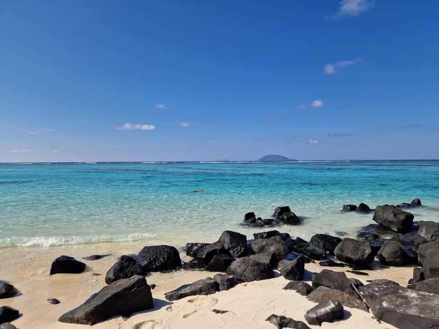 Grand Bay: Catamaran Cruise to Flat Island with BBQ Lunch - Who will enjoy this day most?