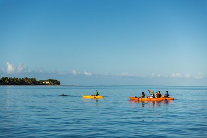Guided Kayak 2-Hour Activity with Dolphins - The Tamarind River alternative