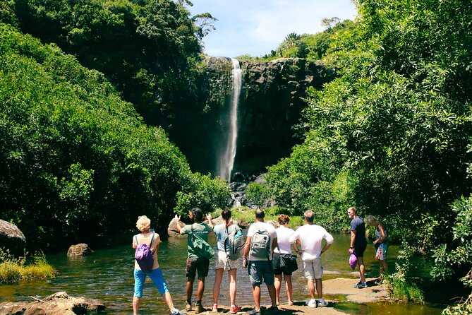 Hiking Sept Cascades (Tamarind Falls) - Half Day - Is $57.93 a fair price?