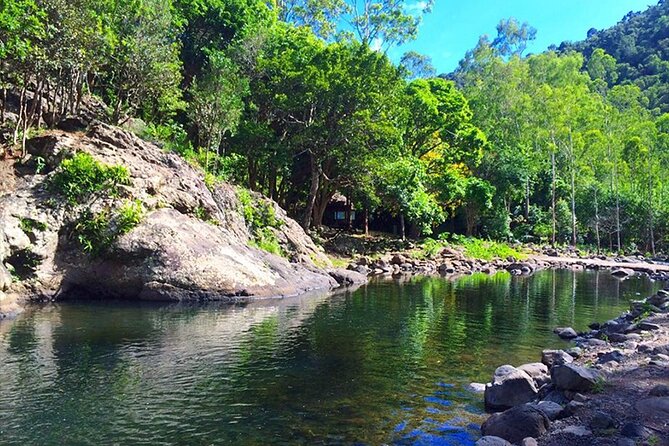 Hiking the Black River Gorges: Full-day with Lunch and Transfer - A 7 a.m. pickup makes the day simple