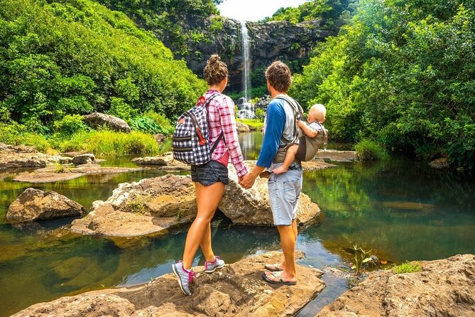 Hiking the Black River Gorges: Full-day with Lunch and Transfer - The first trails through the national park