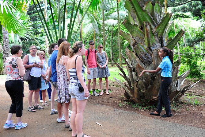 Historical Guided Day Tour : City - Sugar World - Botanical Garden - At L’Aventure du Sucre, sugar becomes the main story