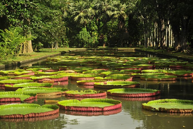 Historical Private Guided Tour, City-SugarWorld-Botanical Garden - Min.2 persons - Key points to know before booking