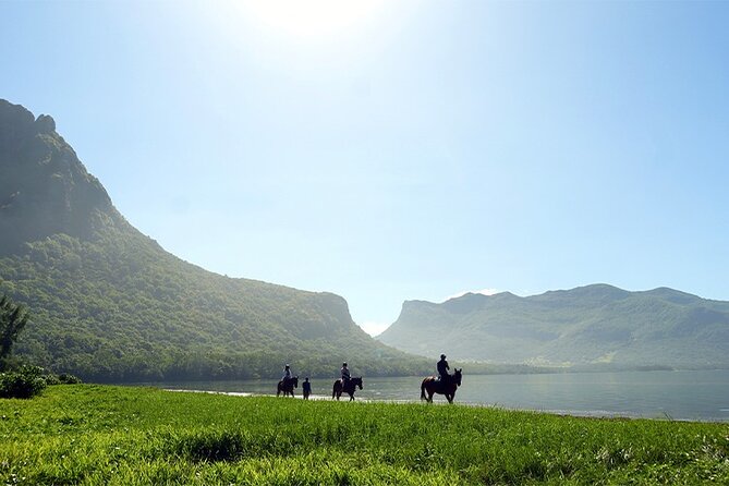 Horse Riding experience by Haras du Morne - The first thing to clarify: horse riding or sightseeing?