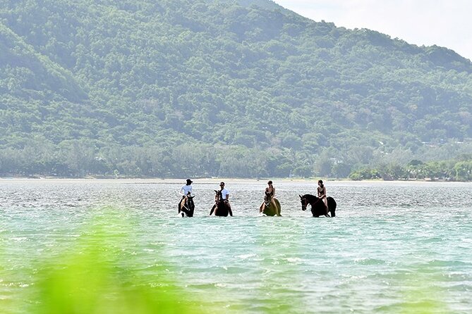 Horse Riding experience by Haras du Morne - Le Morne’s mountain and the story behind it